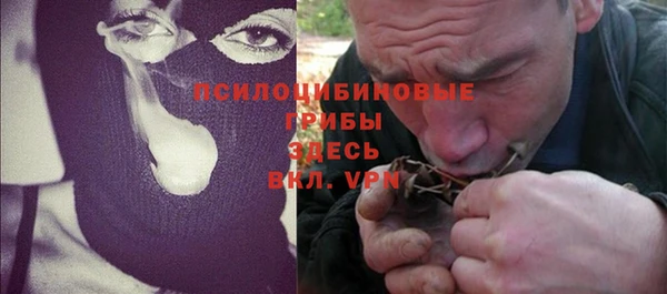твердый Заводоуковск