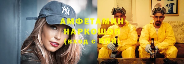 твердый Заводоуковск