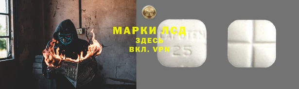 твердый Заводоуковск
