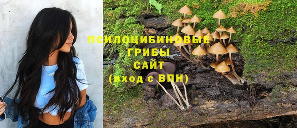 твердый Заводоуковск