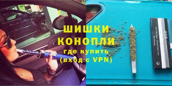 твердый Заводоуковск