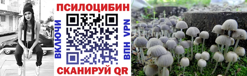 Псилоцибиновые грибы Cubensis  Купить где  Калач-на-Дону 