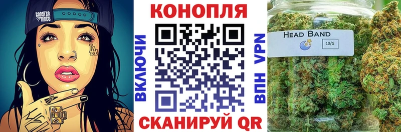 Купить  Калач-на-Дону  Бошки марихуана планчик 